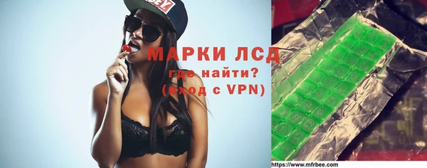 шишки Арсеньев