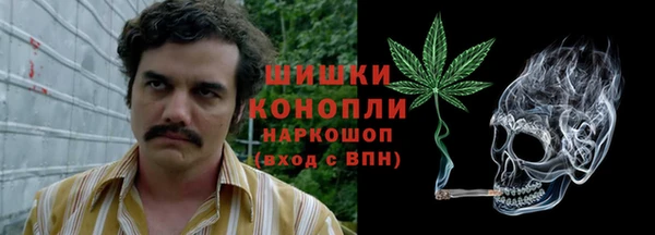 шишки Арсеньев