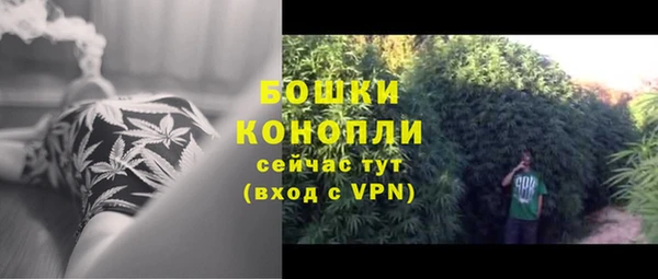 шишки Арсеньев