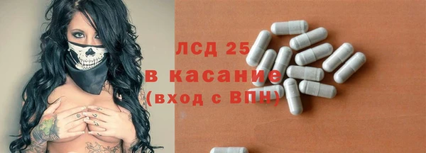 шишки Арсеньев