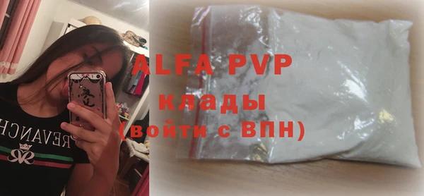 шишки Арсеньев