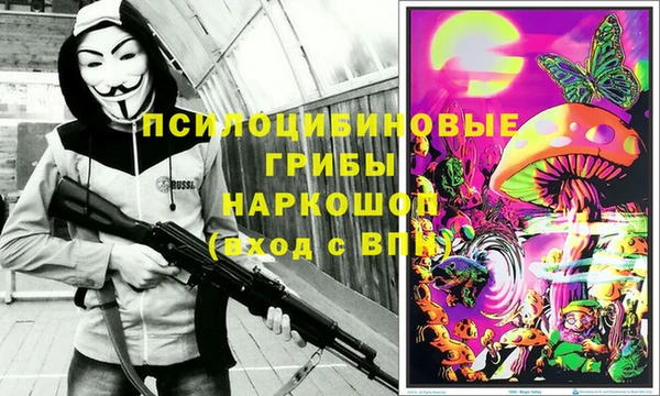шишки Арсеньев
