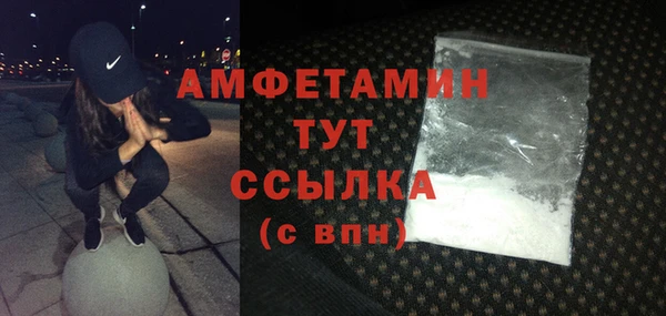 шишки Арсеньев