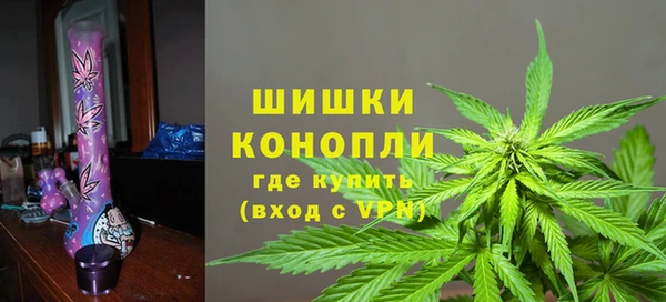 шишки Арсеньев