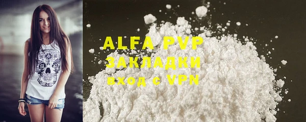 шишки Арсеньев