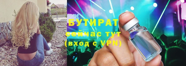 шишки Арсеньев