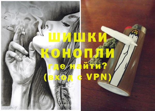 шишки Арсеньев