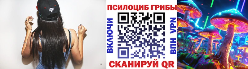 Псилоцибиновые грибы мухоморы  даркнет сайт  Минусинск 